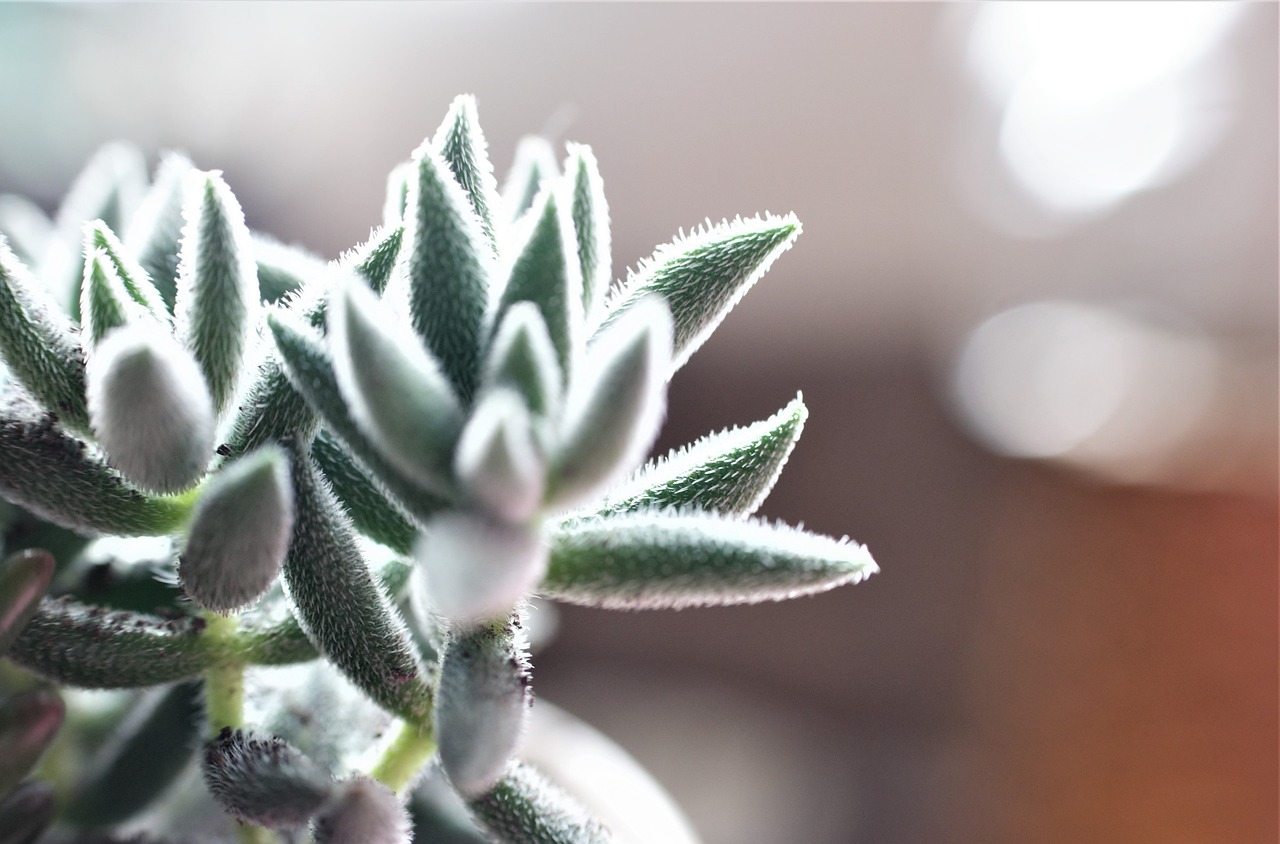 Transform Your Space with Stylish Home Decor Products Transform Your Space with Stylish Home Decor Products